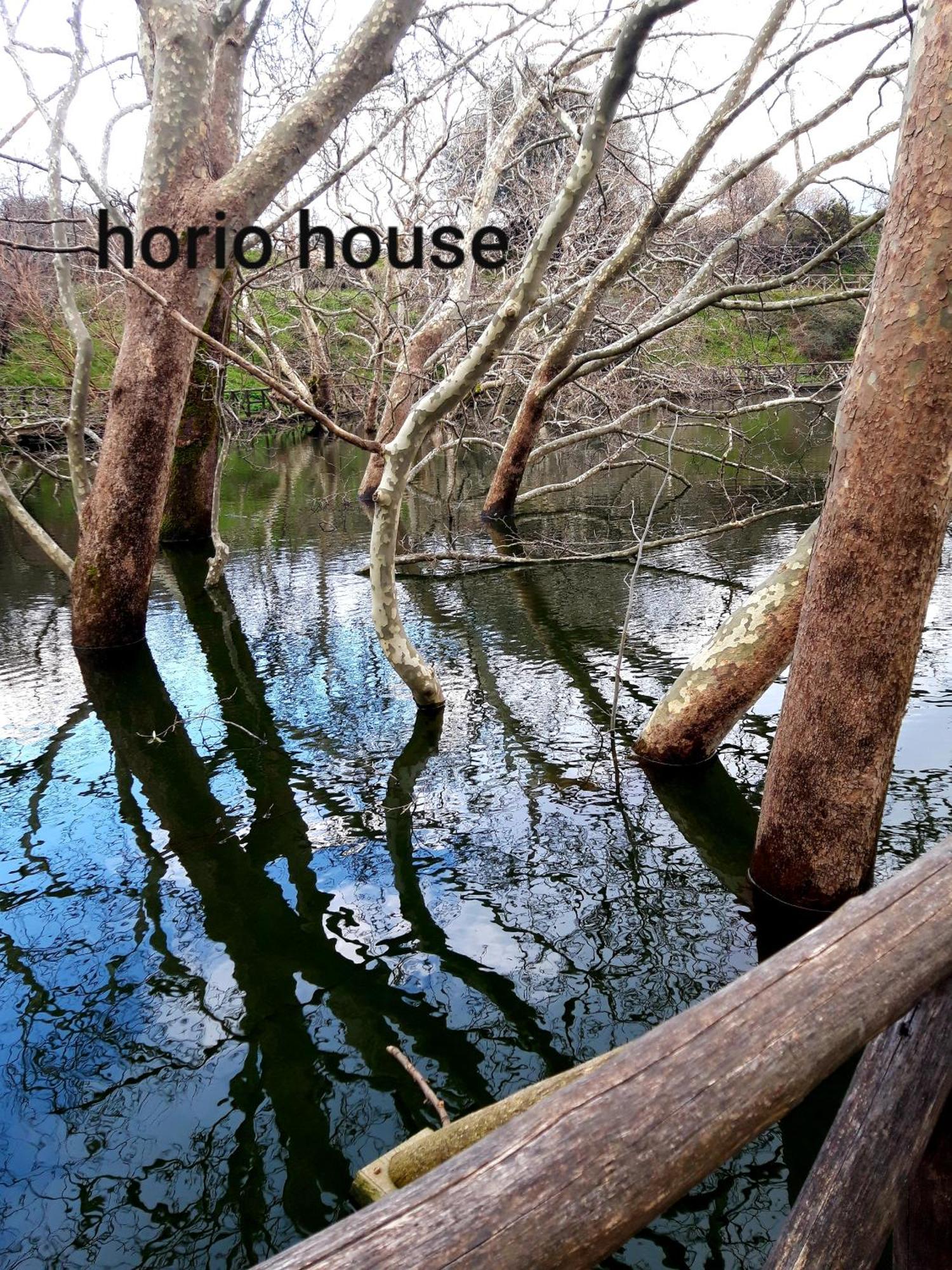Horio House Villa Limni  Værelse billede